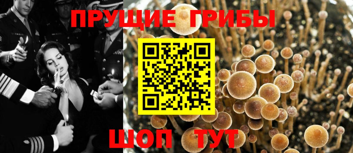 Снежинск  Псилоцибиновые грибы Magic Shrooms  Вход с VPN 